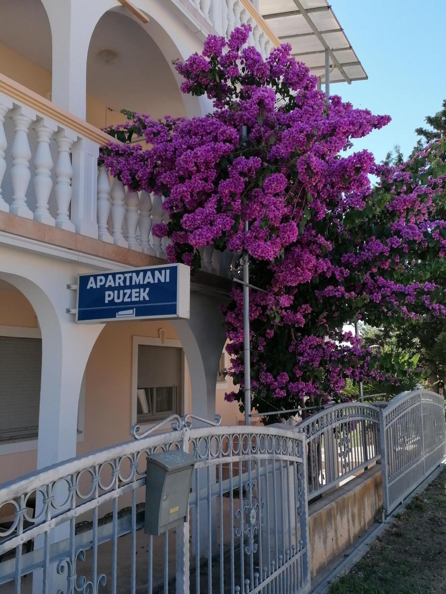Apartmani Puzek Bibinje Exteriér fotografie
